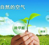 除甲醛對于住房安全和環(huán)境保護的作用有什么？
