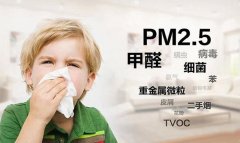 一些值得借鑒方法又常用的佛山新房除甲醛的技巧有哪些？