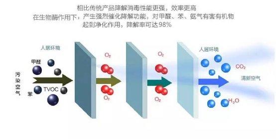 光觸媒、生物酶、空氣凈化器，哪家除甲醛公司效果好？