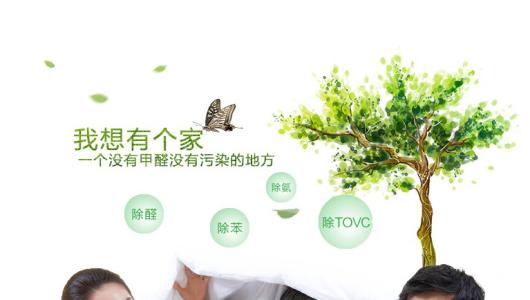 效果好、專業(yè)的光觸媒除甲醛產(chǎn)品有那些？